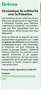 Chou Vert (juillet 2025)