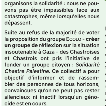 Chou Vert (juillet 2025)